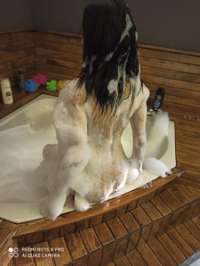 Özgür Ruhlu Antalya Escort: Canan